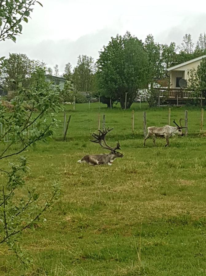 Nydelig Utsikt, Egen Leilighet Med To Parkeringer Movik  Bagian luar foto